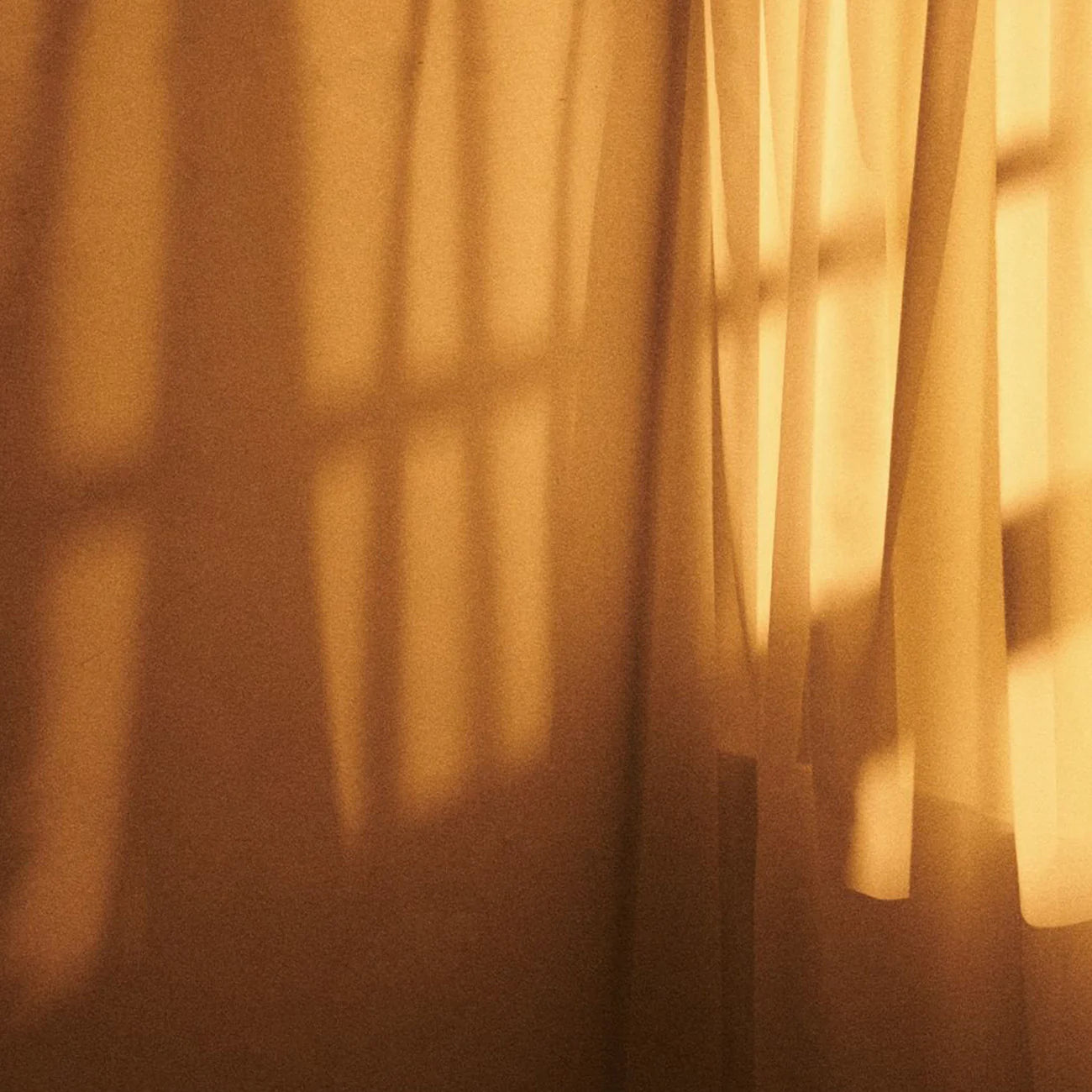 3105 Twilight Amber|Perfume Shower Gel